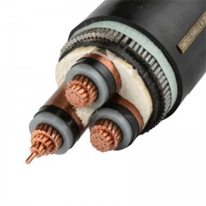 OEM/ODM China 0.6/1 Kv PVC Sheath Electrical Power Cable with XLPE Insulation