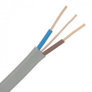 2.5mm 6242Y Flat Twin and Earth Cable